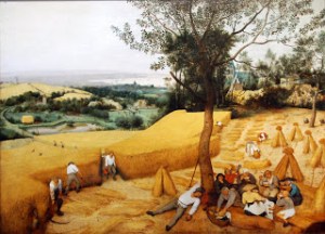 Pieter Bruegel The Harvesters protestant reformation